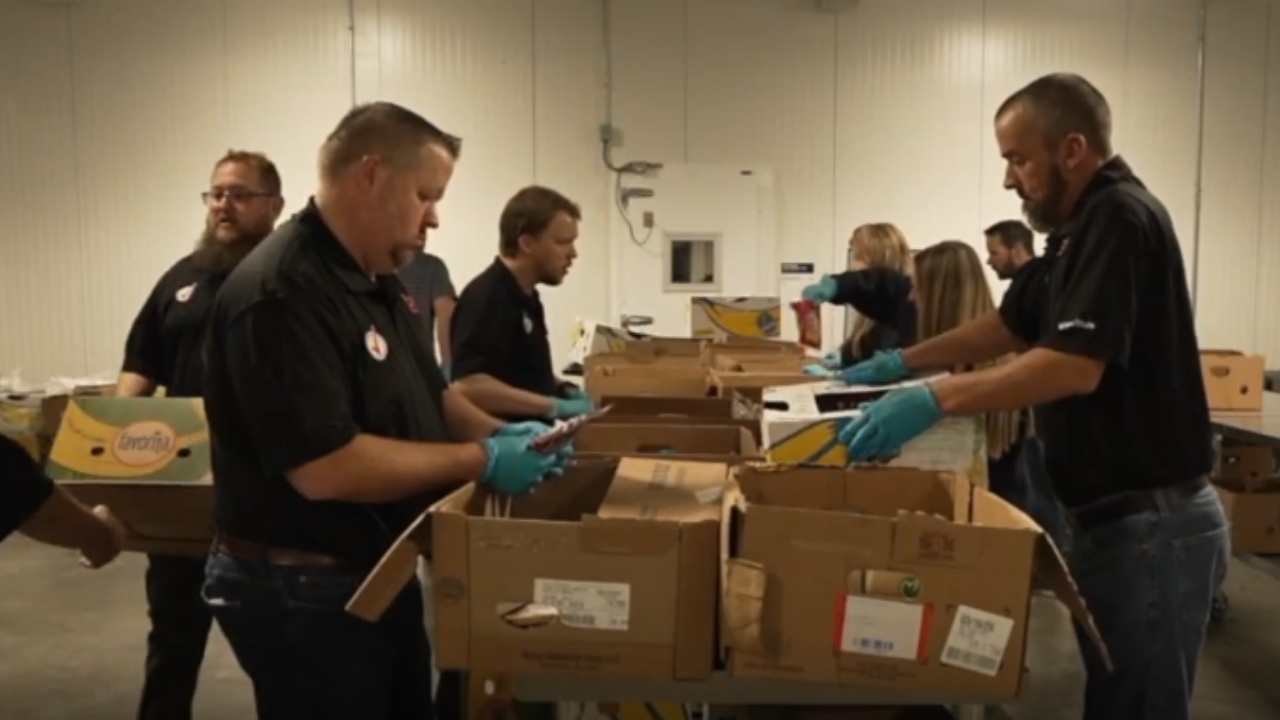 Volunteers play important part in feeding families at Feeding Tampa Bay