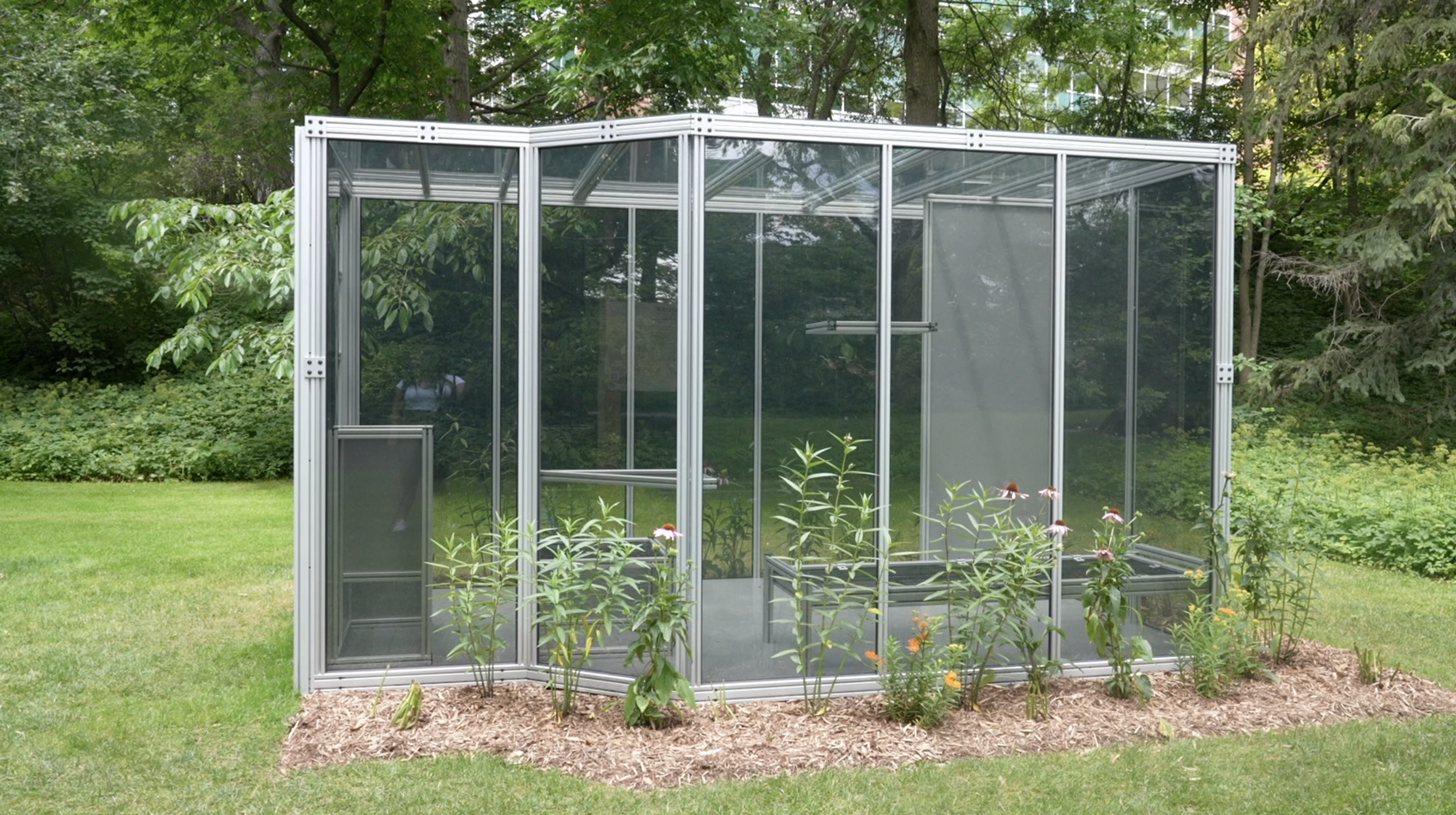 Solitary Greenhouse 
