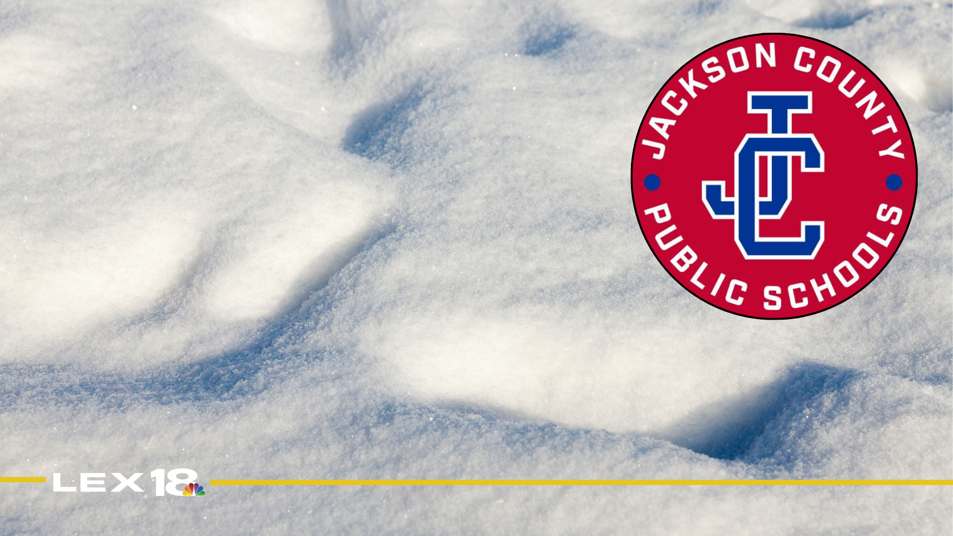 mugshot template  - 2026-03-18T104427.761.png