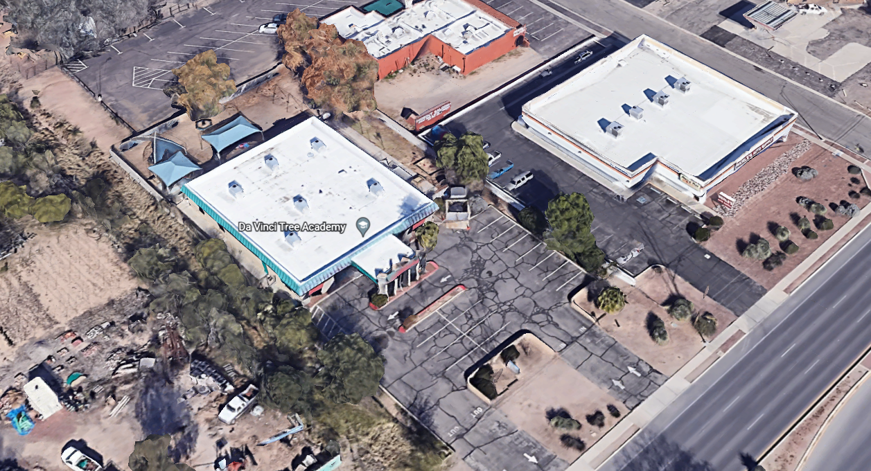 Da Vinci Tree Academy.PNG