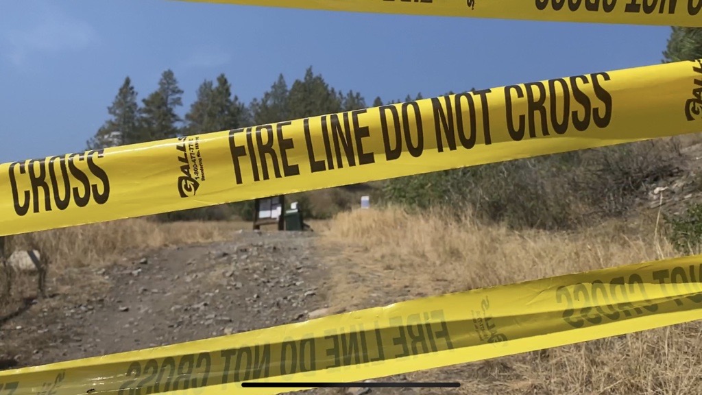 MicrosoftTeams-image (309).png