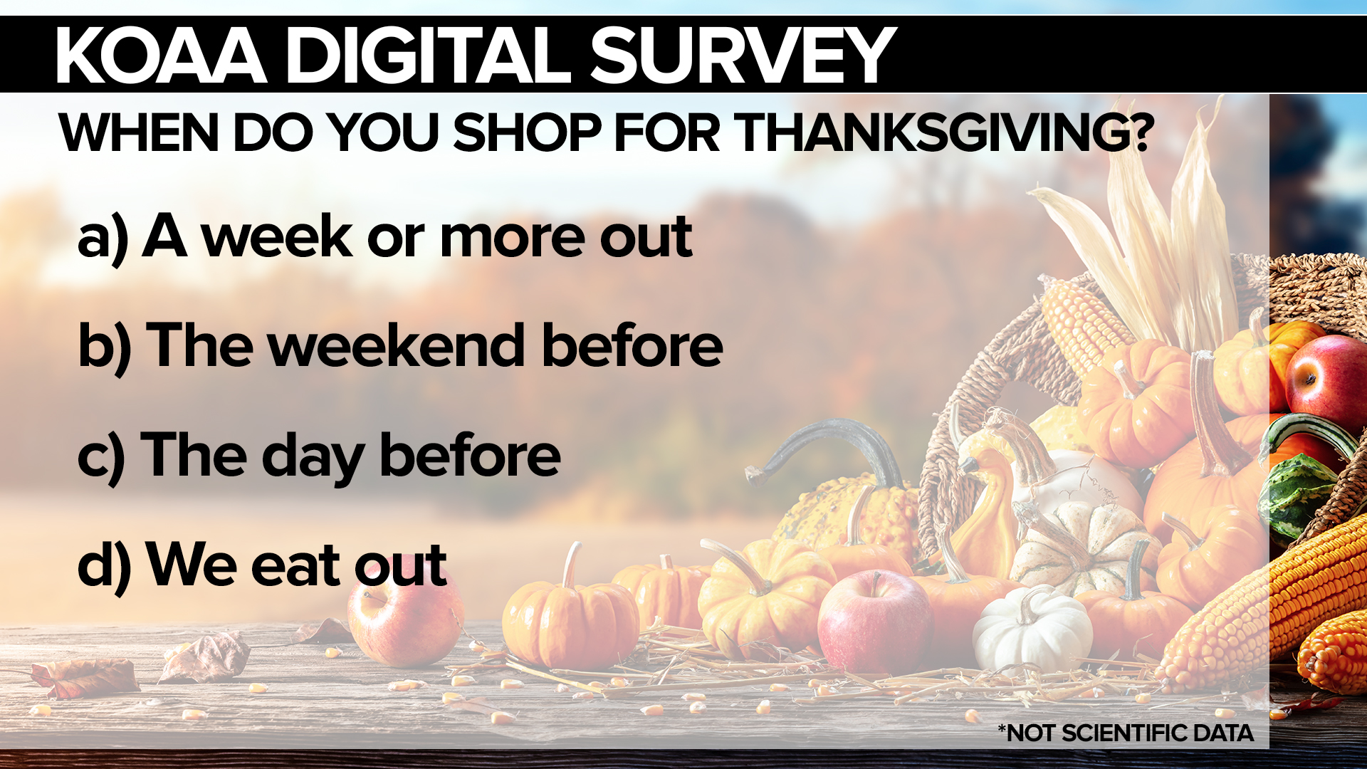 SURVEY Thanksgiving Shopping.jpg
