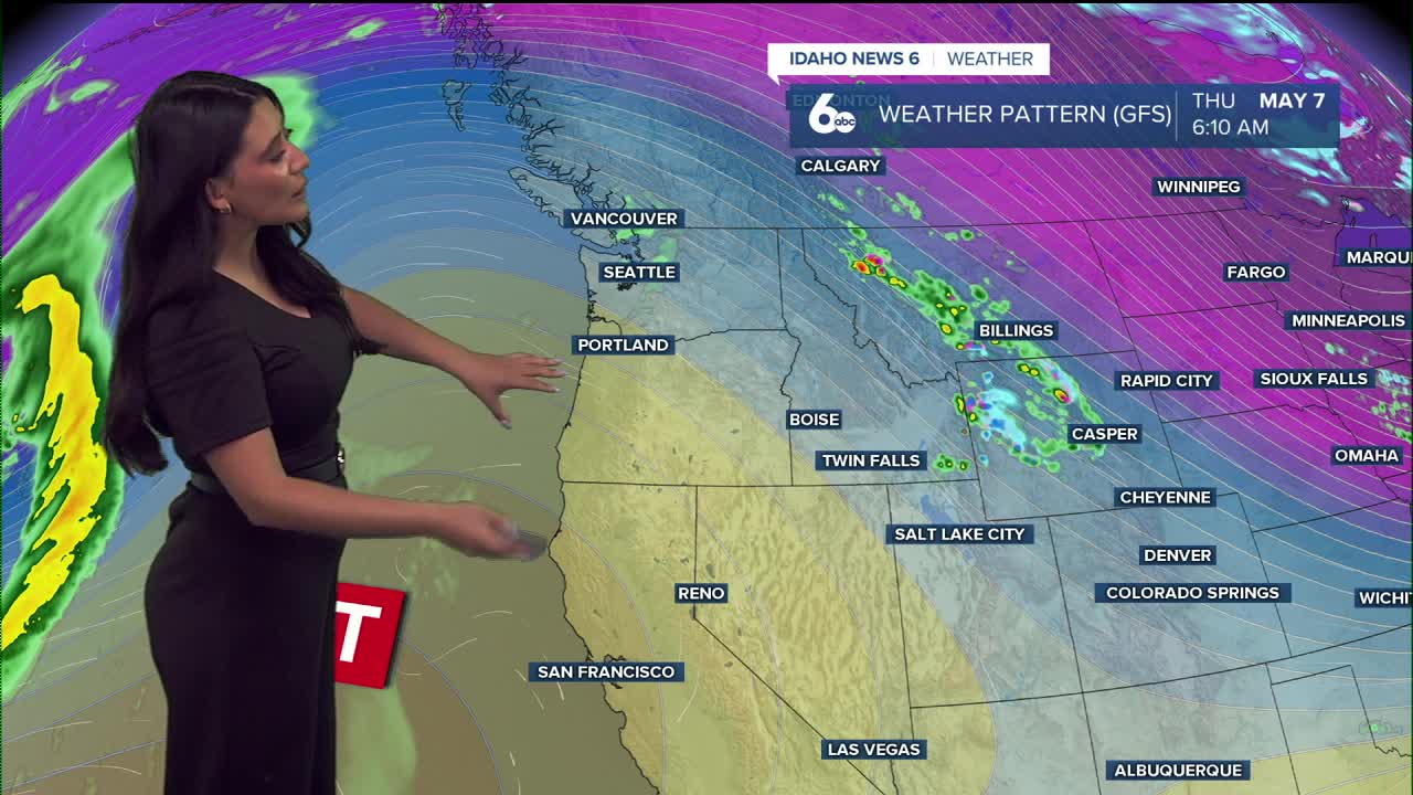 Forecast 