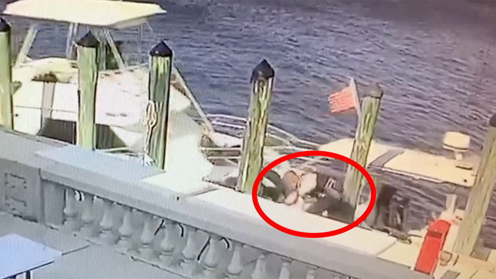 WPTV-FMPD-BOAT-CRASH.jpg