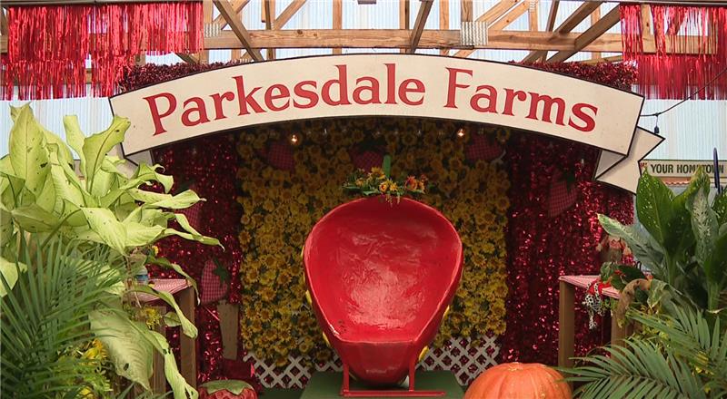 Parkesdale Market creates lasting memories for families 