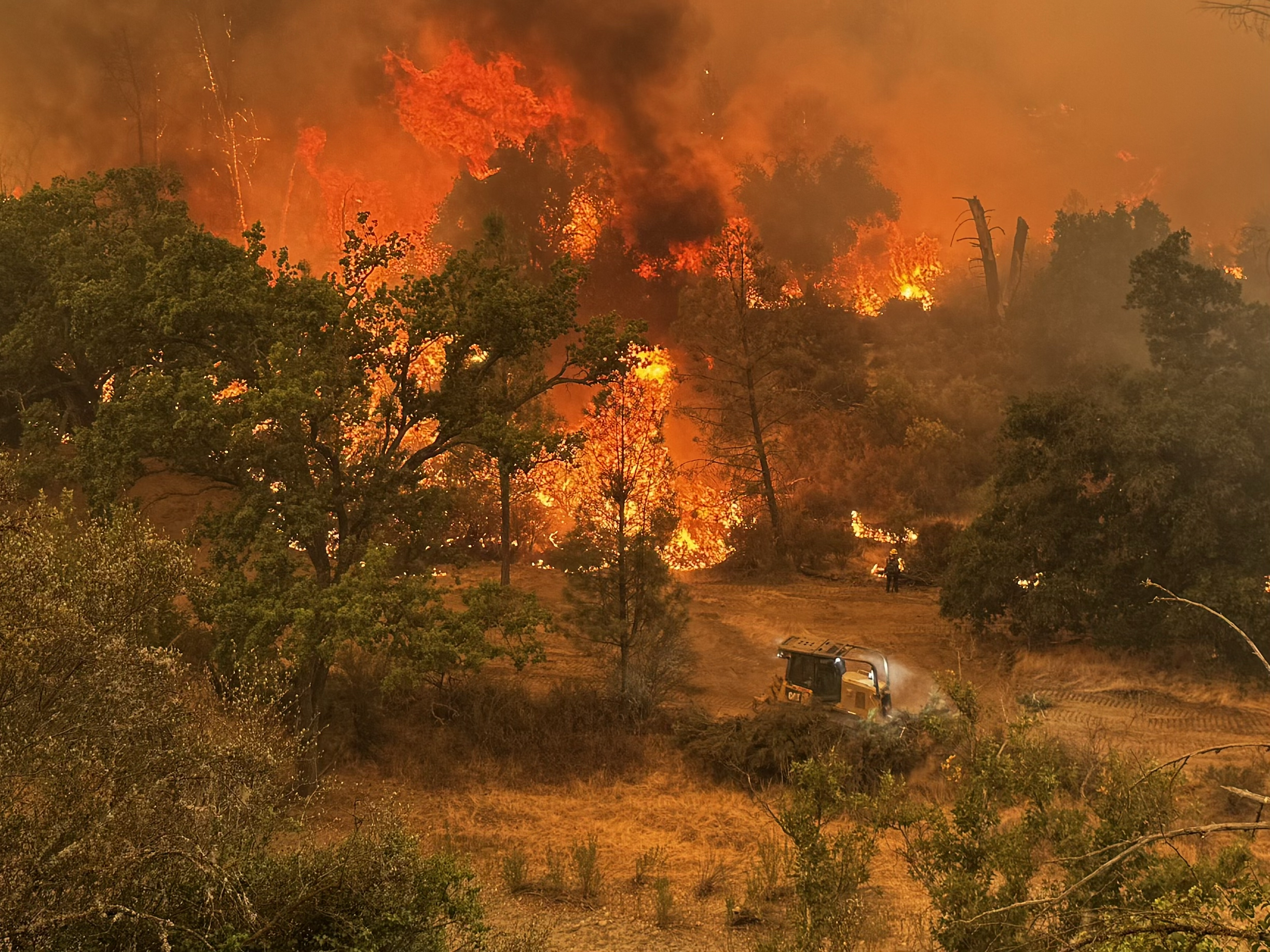 gifford los padres 8 11.jpg