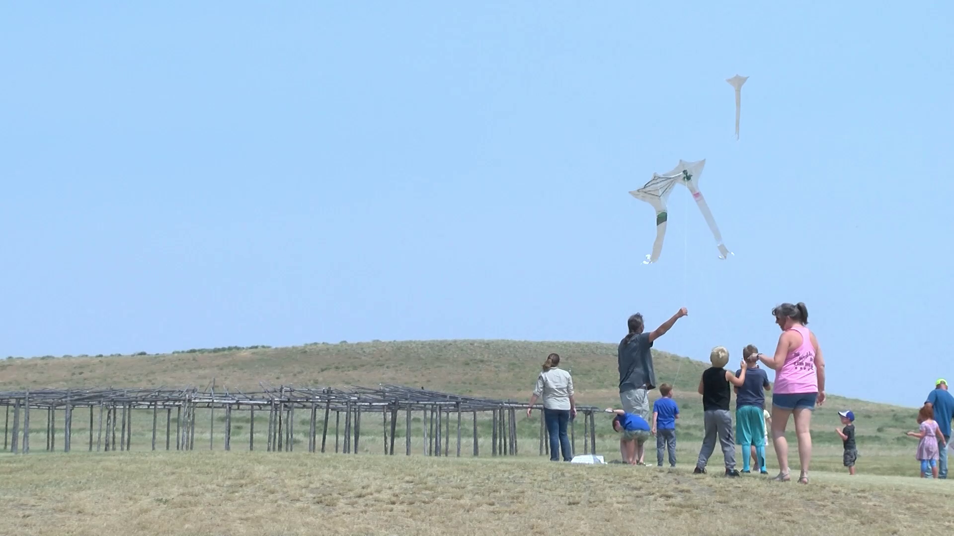Taking to the sky at the Buffalo Kite Festival