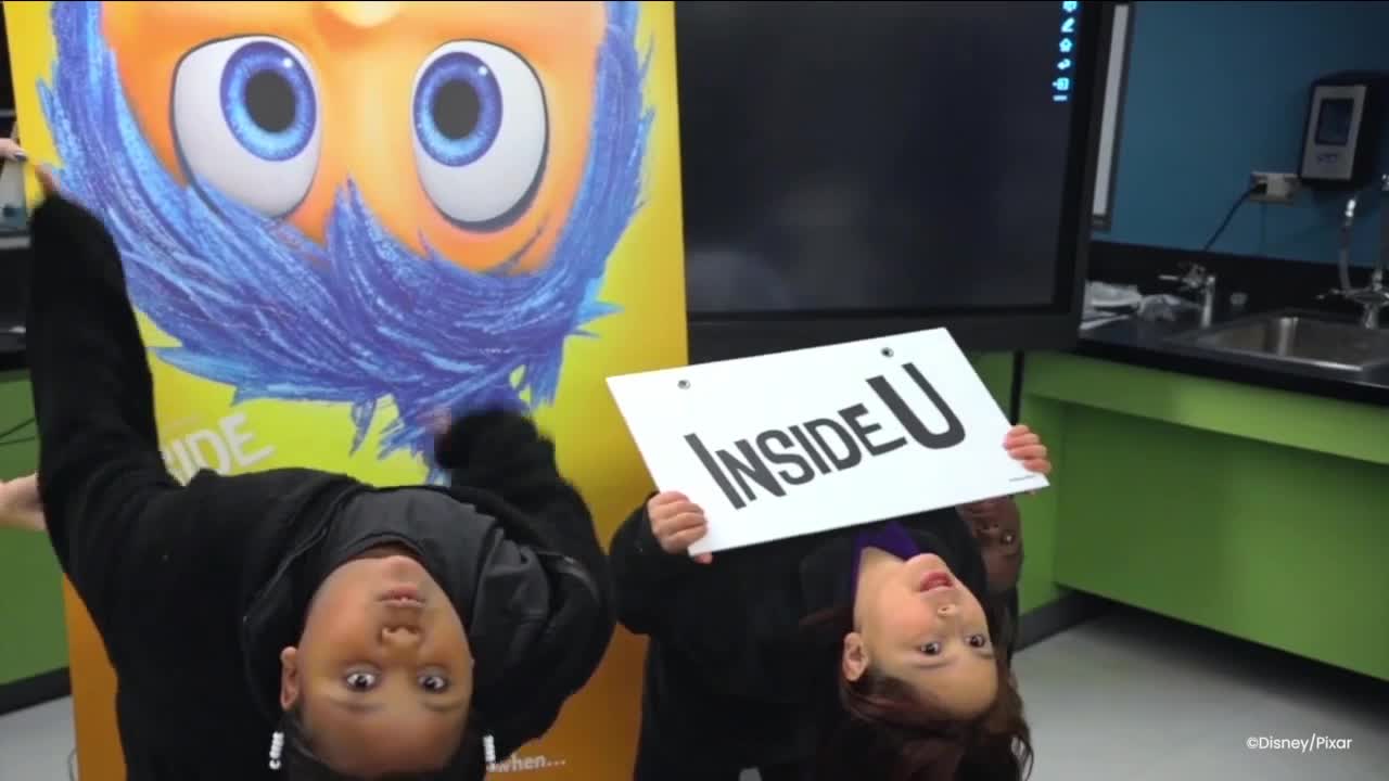 Crown Institute based on Inside Out.jpg