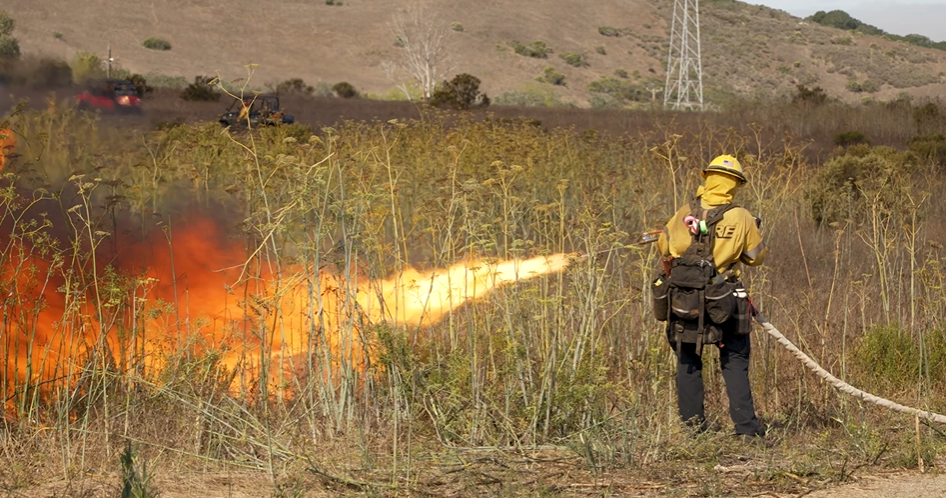 prescribed burn controlled burn