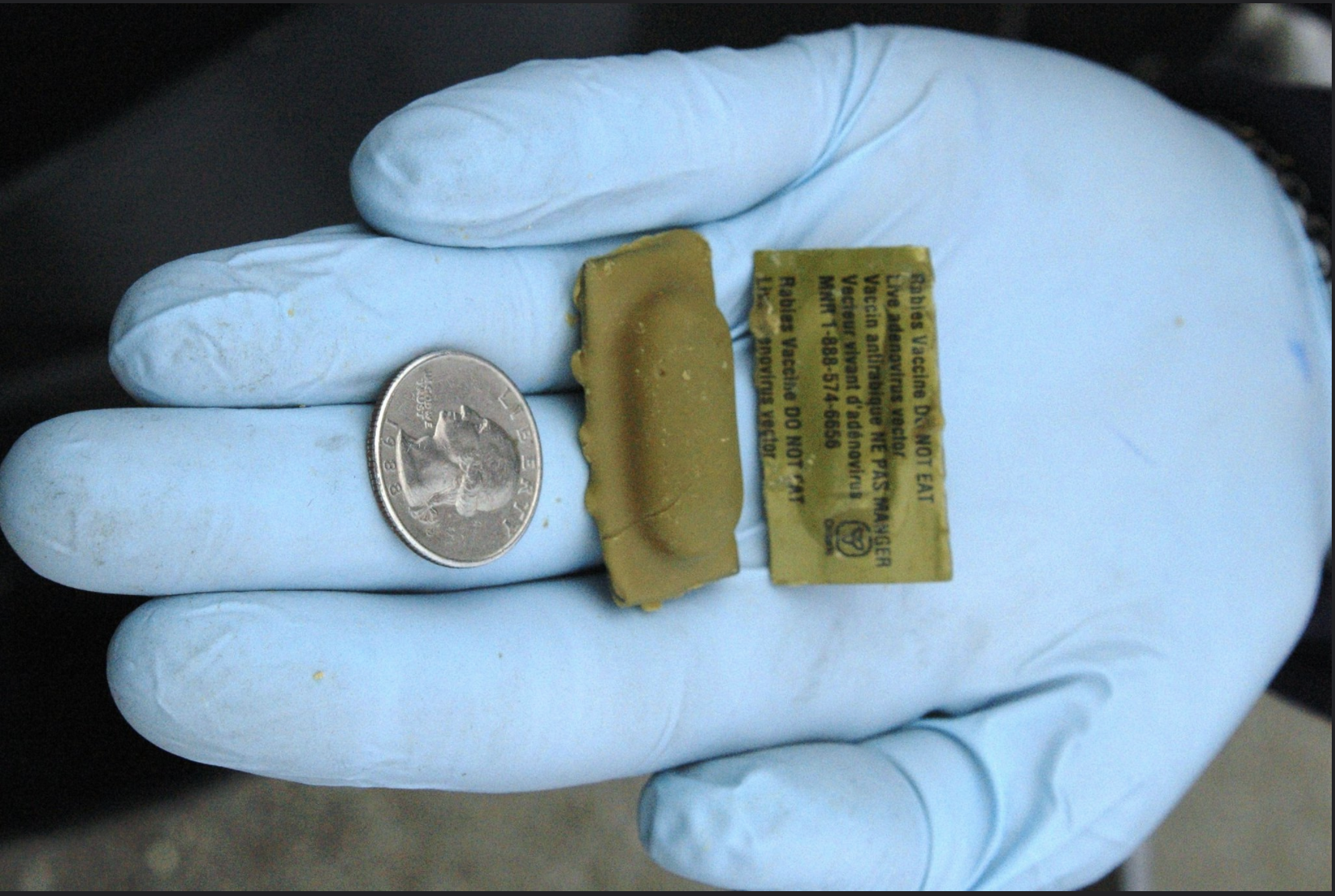 USDA to begin aerial rabies vaccine drops in Ohio this month