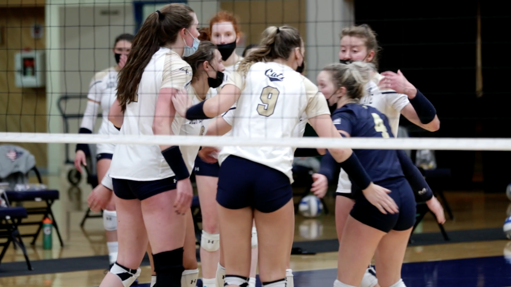 Montana State Volleyball