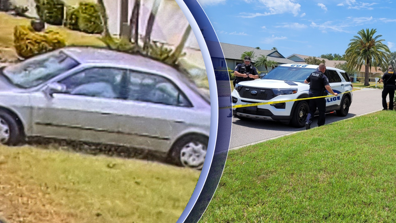 suspect hit-and-run Bradenton May 1