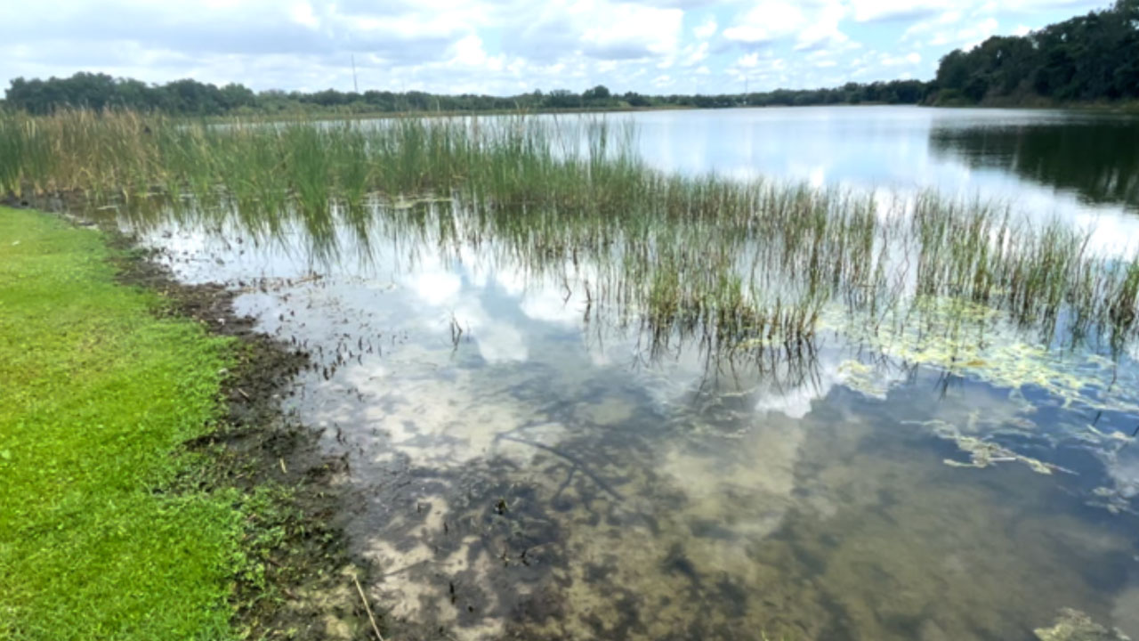 Blue-green algae problem in Polk County