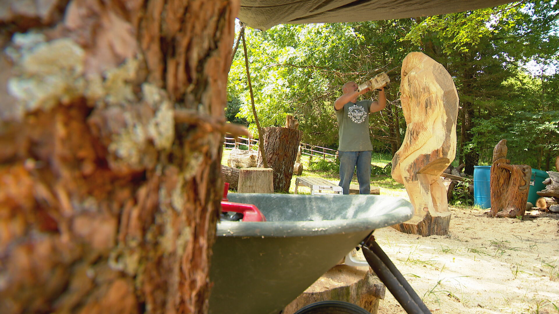 Chainsaw Artist