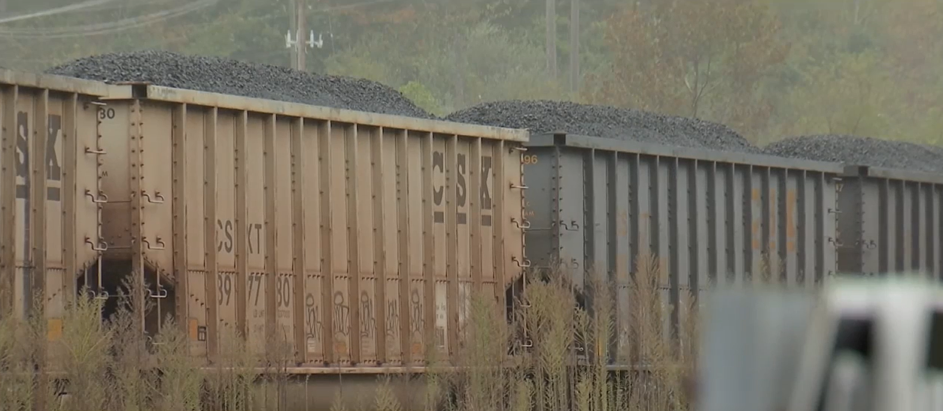 Coal 