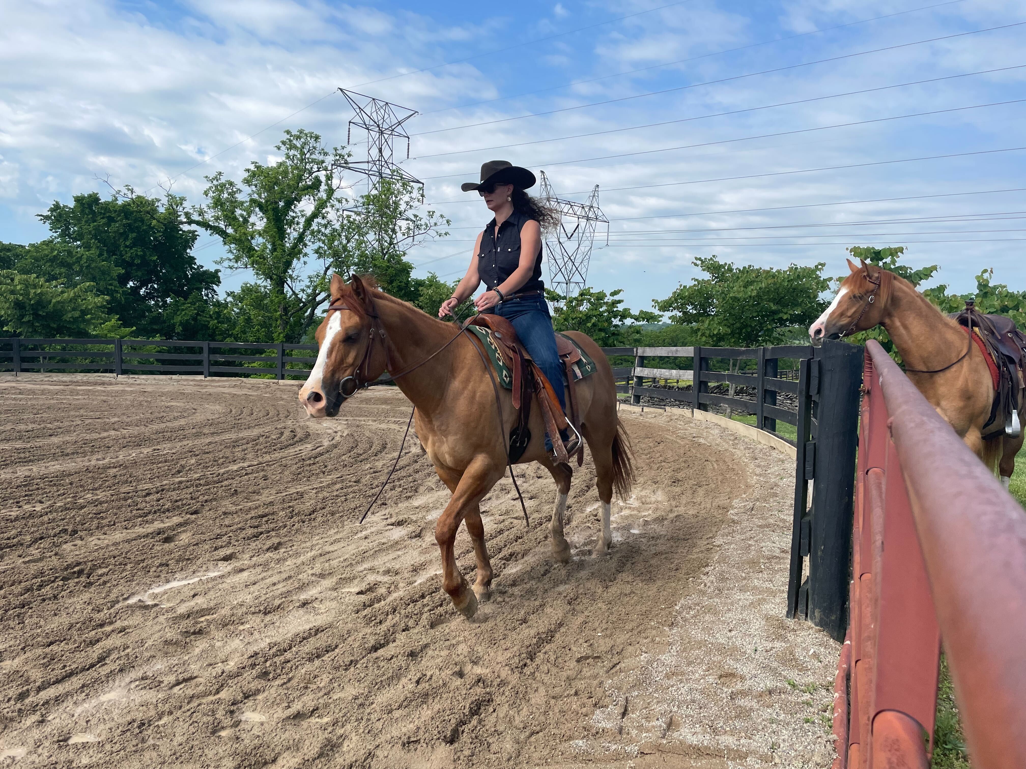 asbury equine facility.jpg