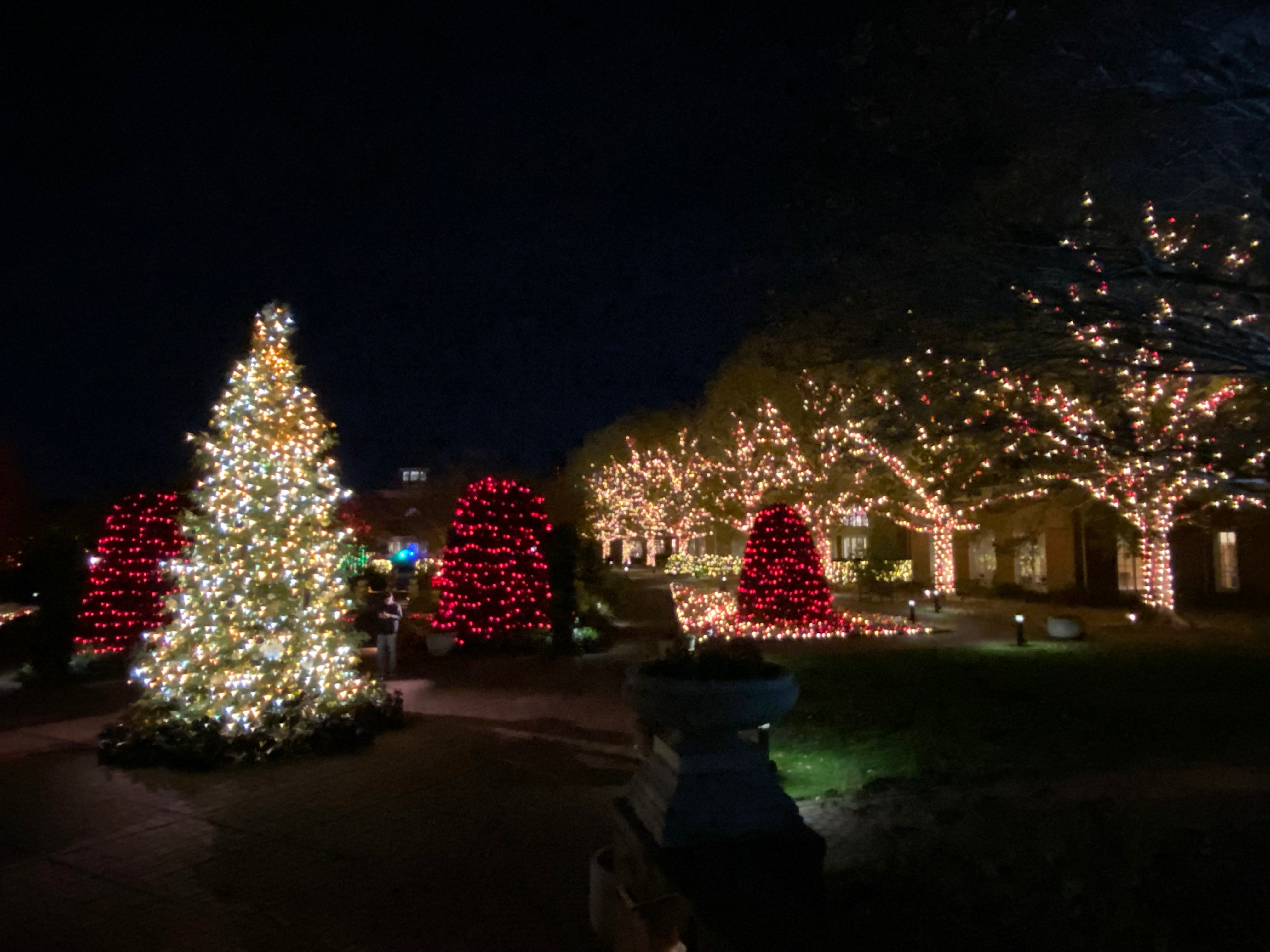 🎄Dominion Energy GardenFest of Lights 2024🎄