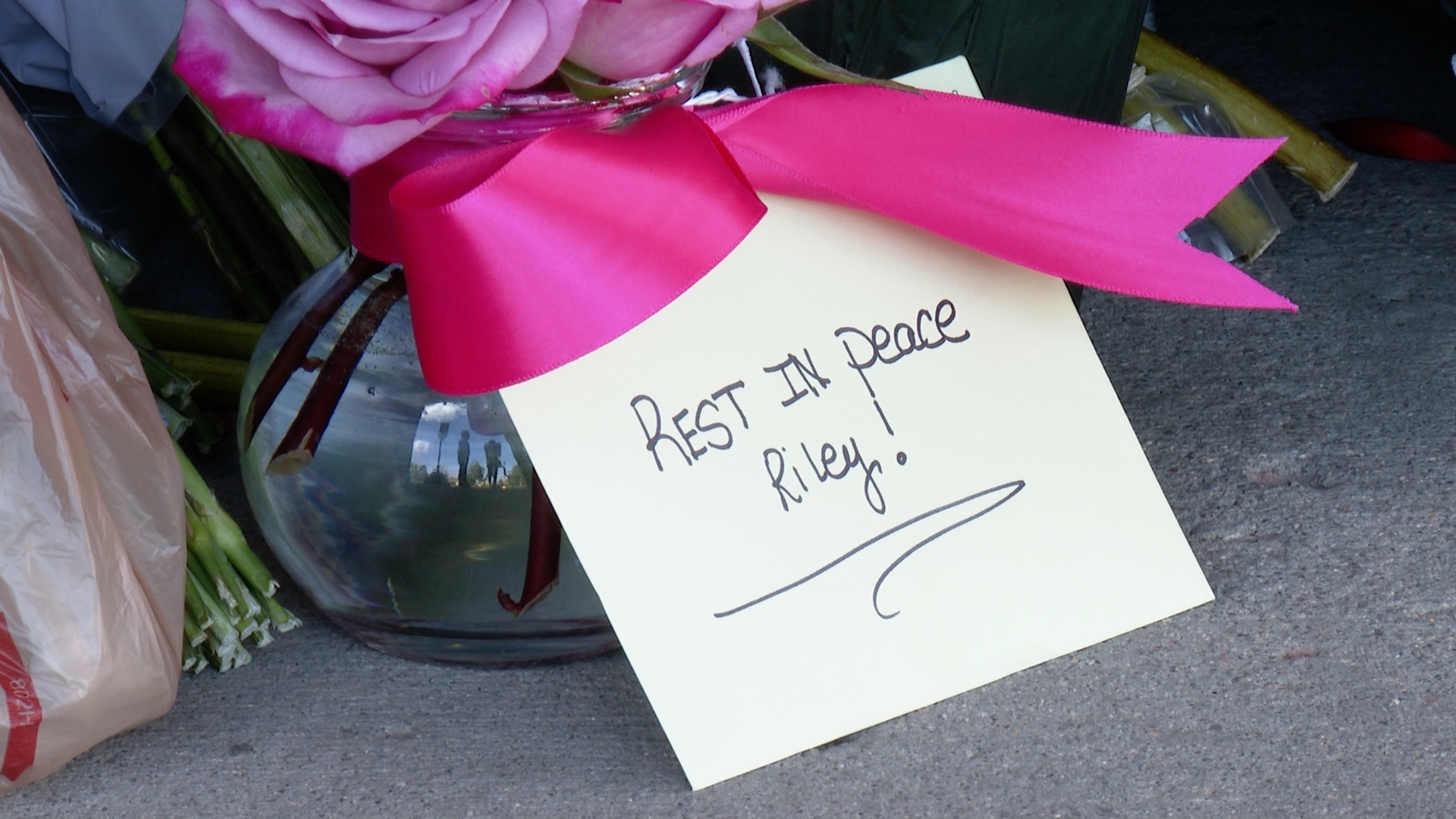 Arrest documents say victim told her manager her coworker, who was arrested for her murder, made her uncomfortable before she died