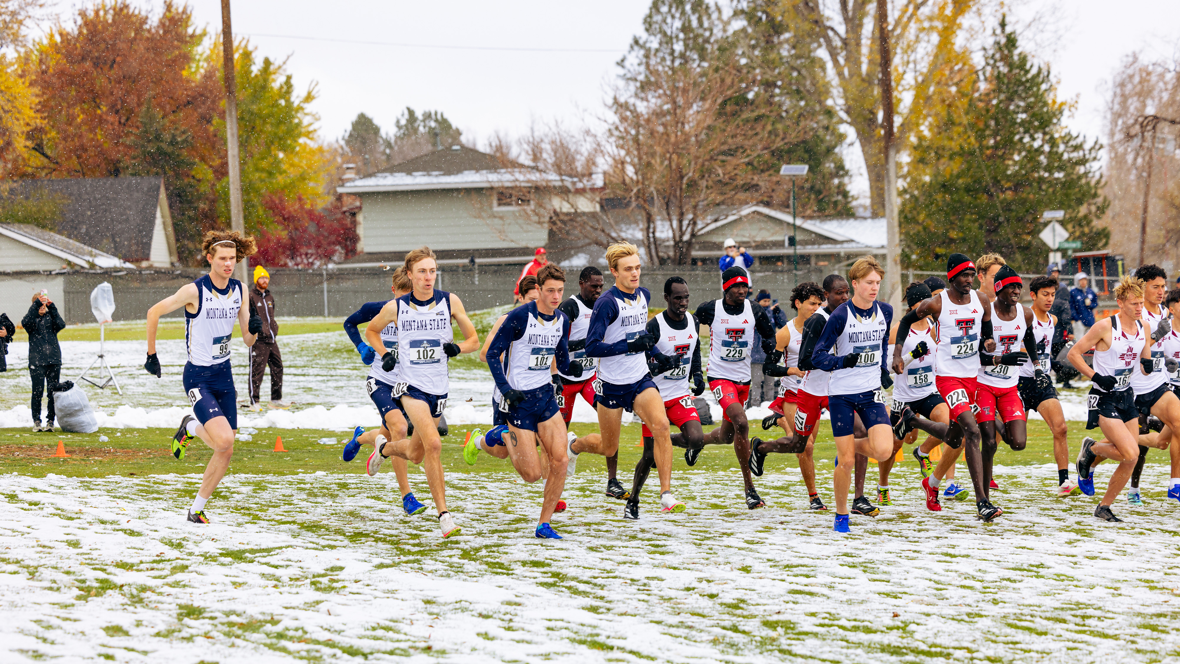 Montana State cross country