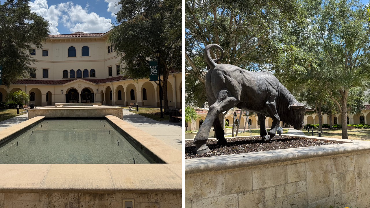 Students still have questions after USF Sarasota-Manatee becomes New College of Florida