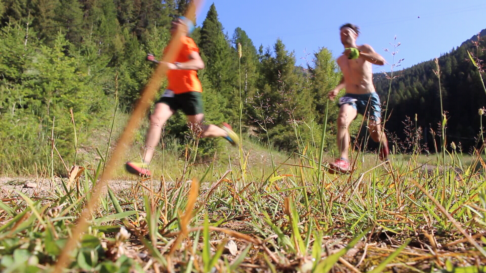 Snowbowl 15k Trail Run