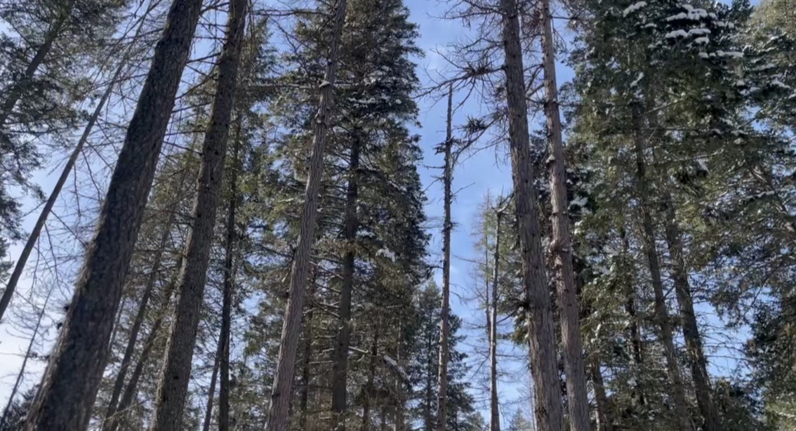 Flathead Lake State Park