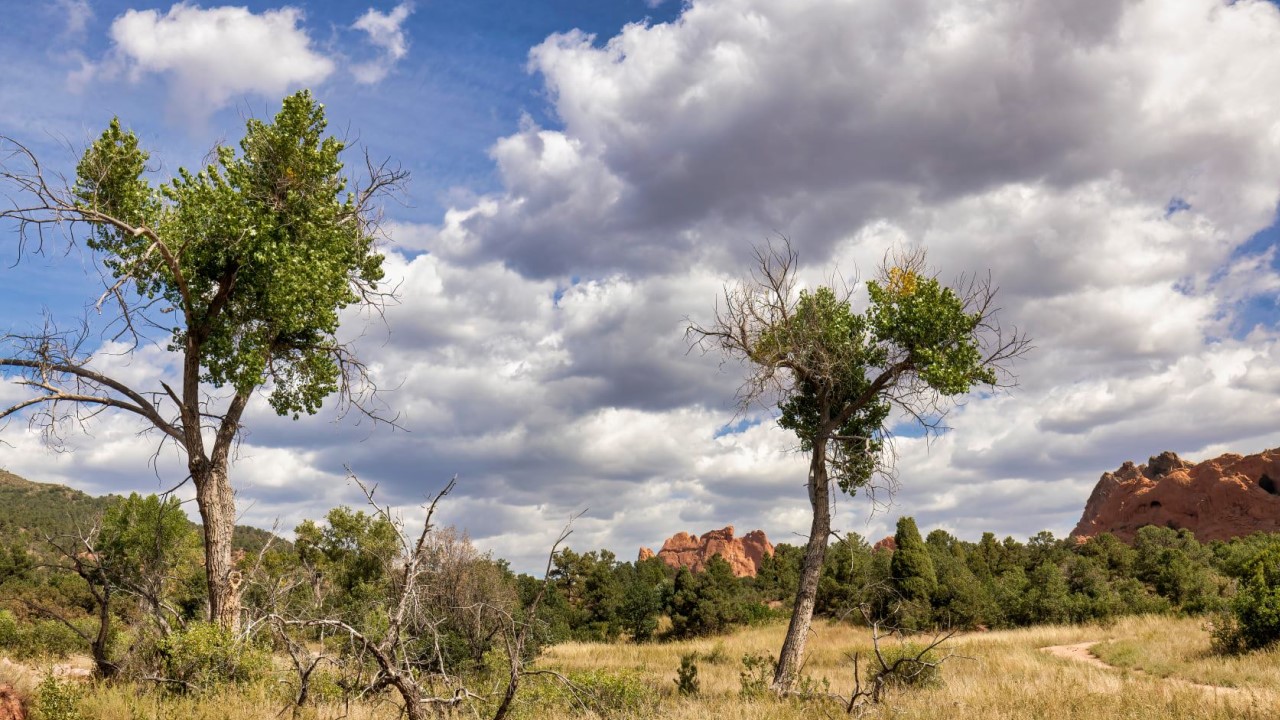 Garden of Gods