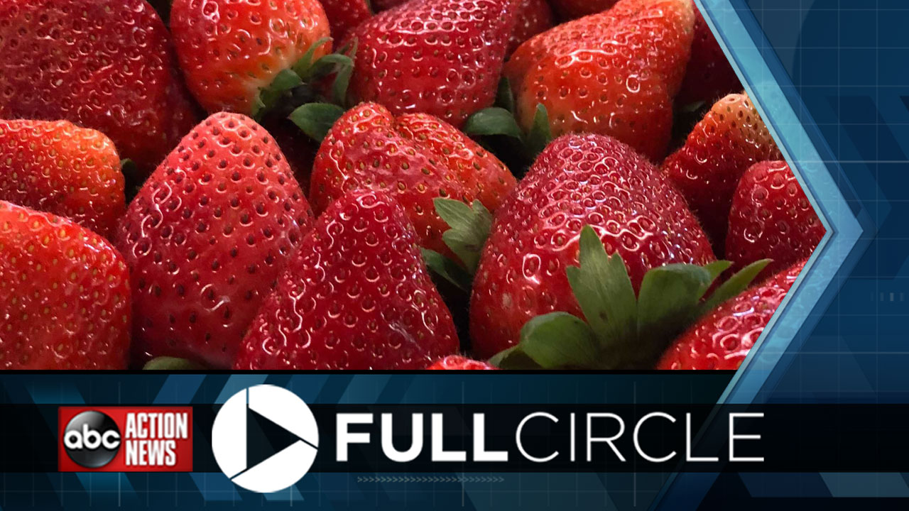 Full-Circle-Strawberry-Festival.jpg