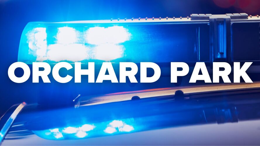 orchard park crime.jpeg
