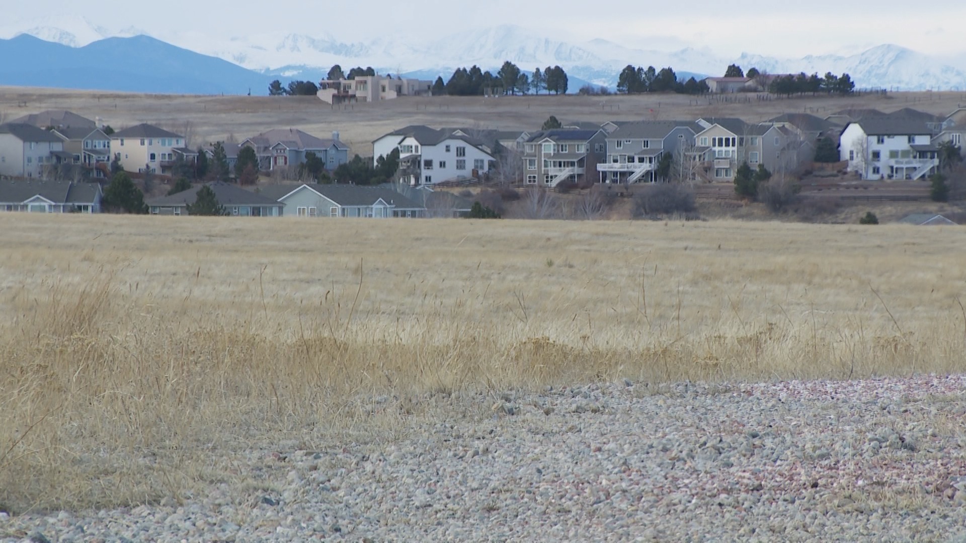 CROWSNEST.jpg