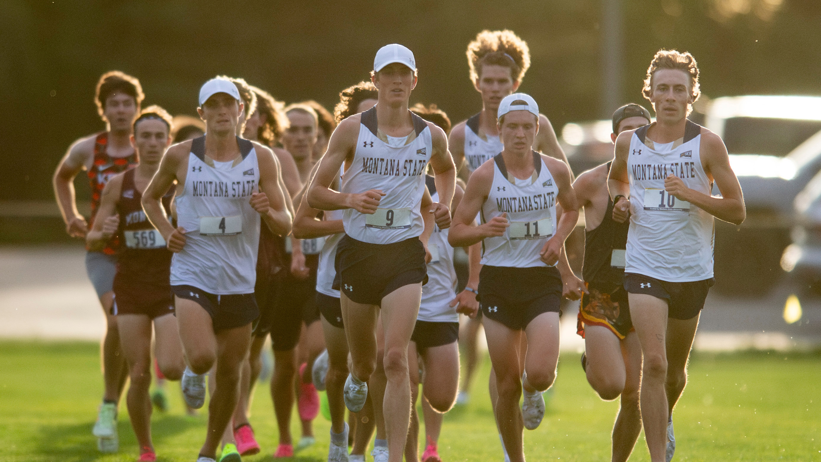 Montana State men's cross country 