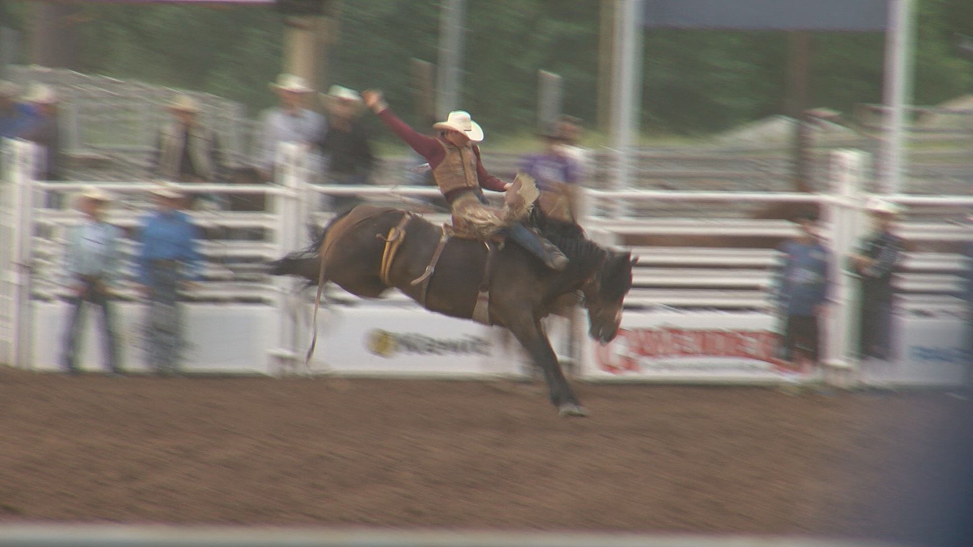 Rodeo benefits for military members
