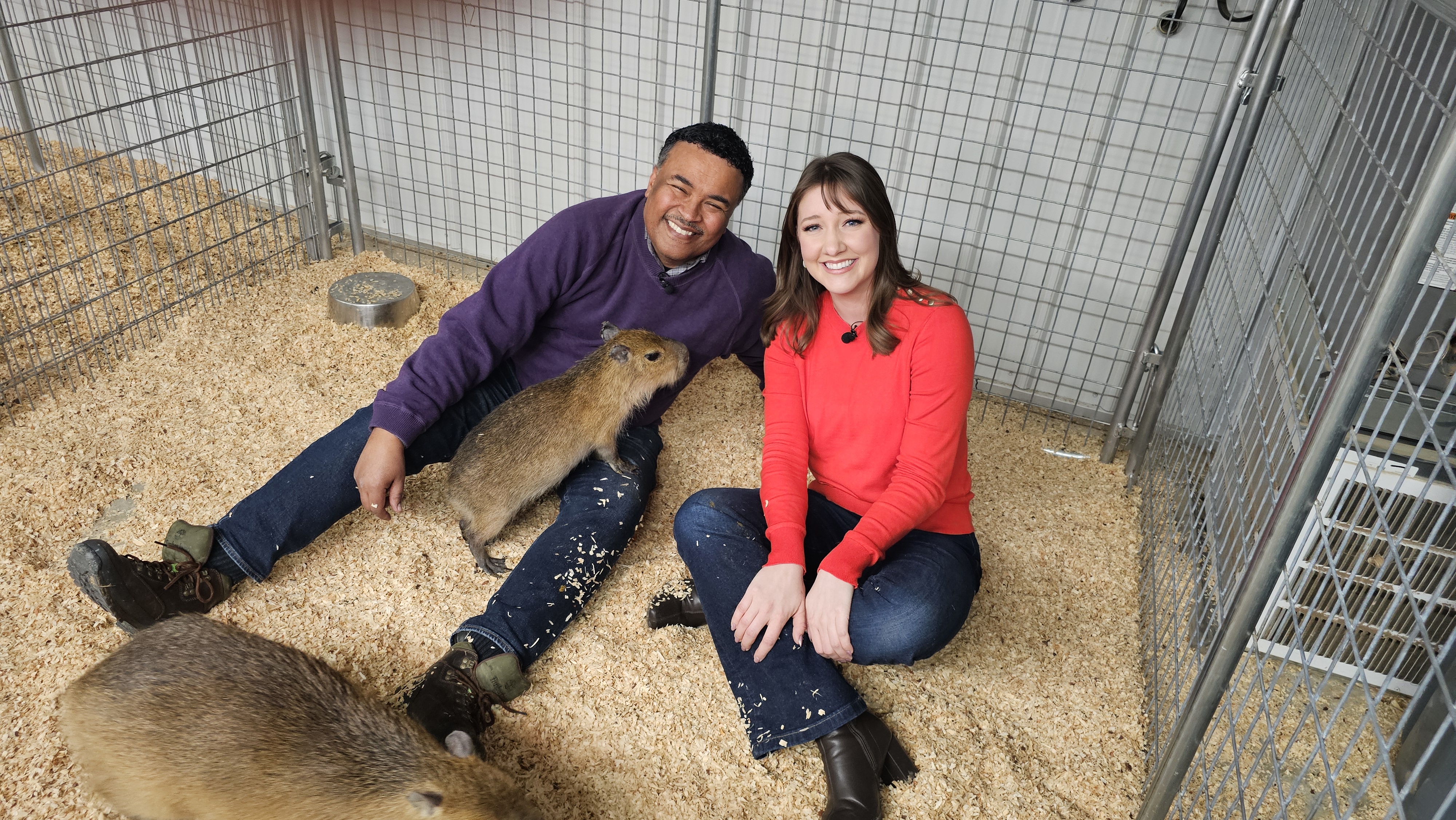 Larry and Megan Safari.jpg