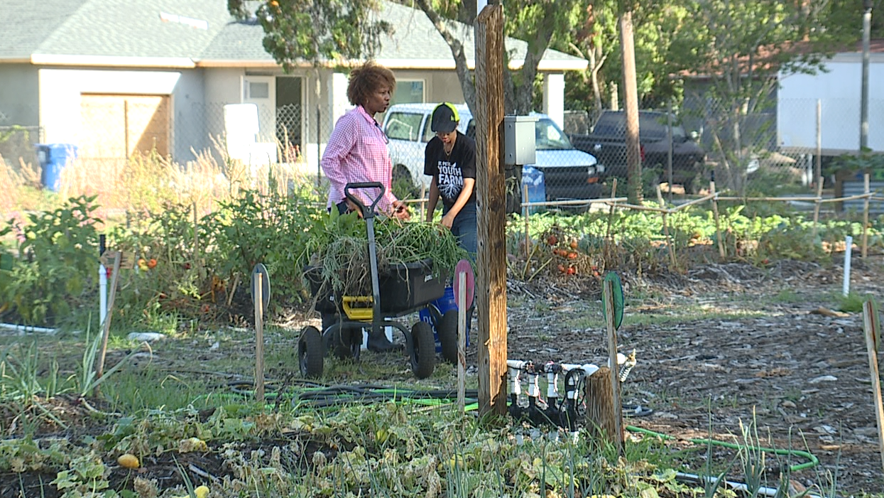 St. Pete Youth Farm