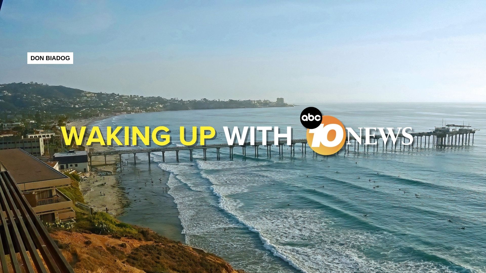 newsletter torrey pines view
