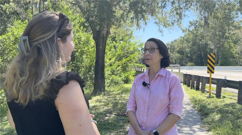Pinellas County bridge replacement