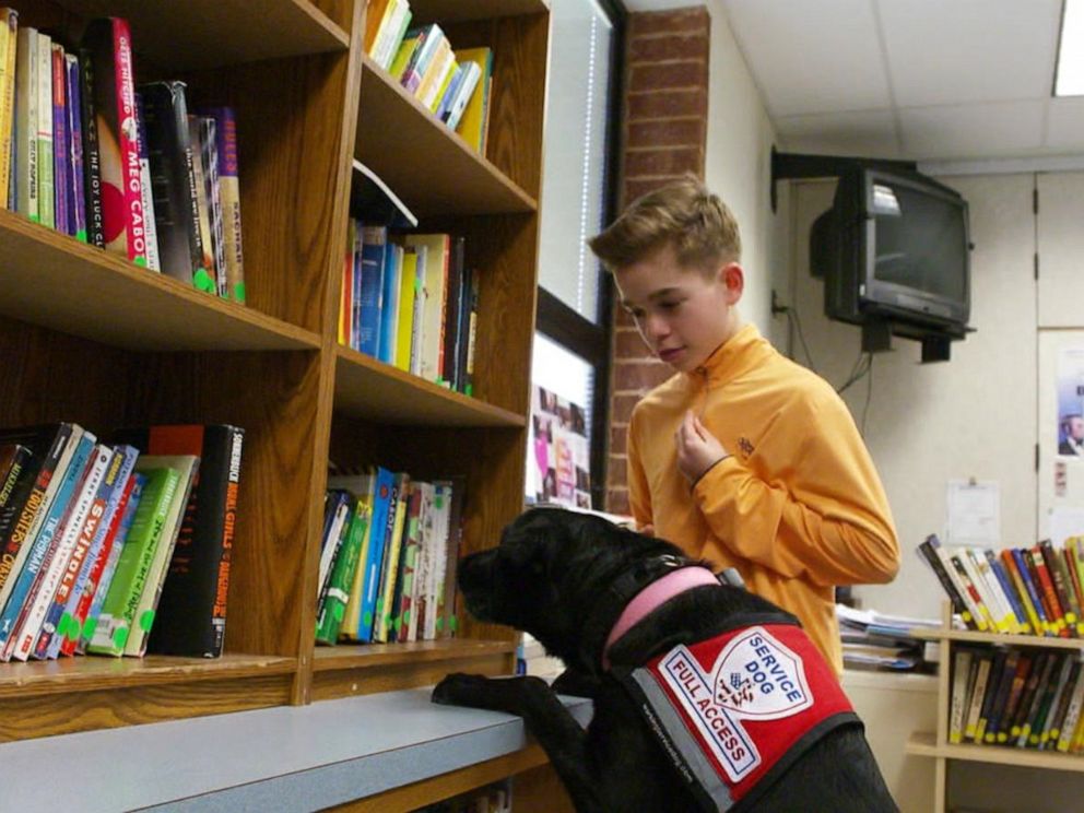 dogs allergic to nuts