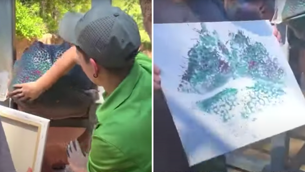 Hippo Painting