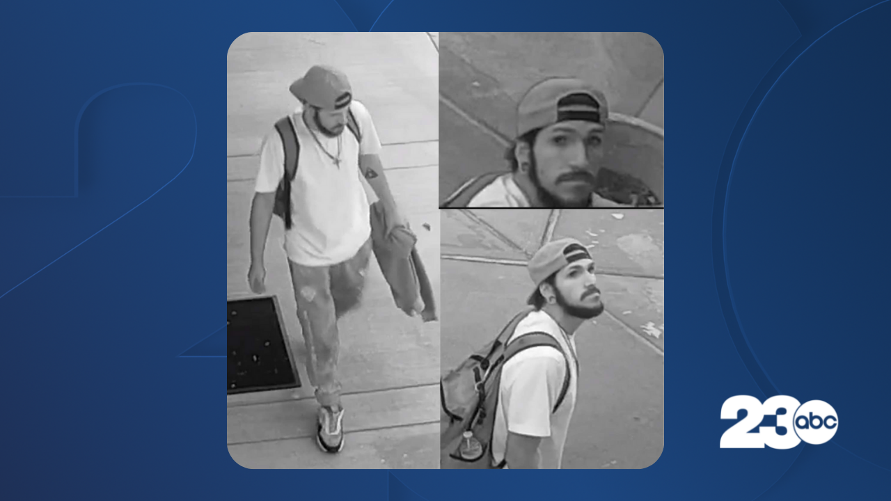 Burglary Suspect.png