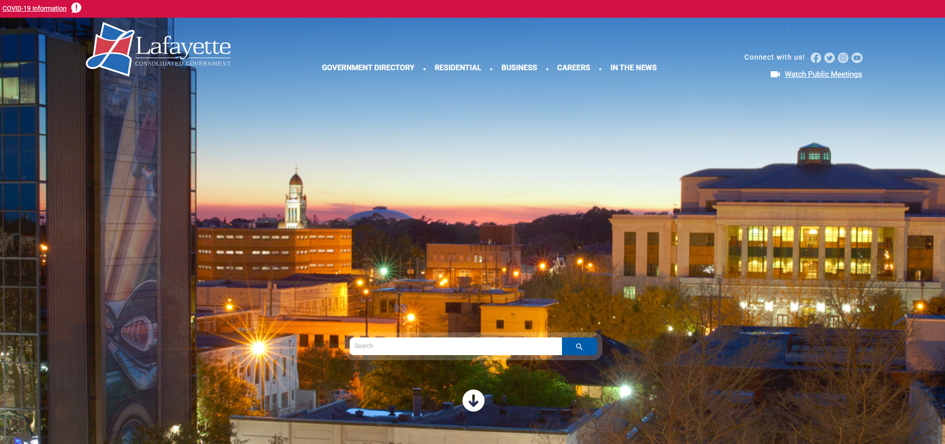 LCG new website.PNG
