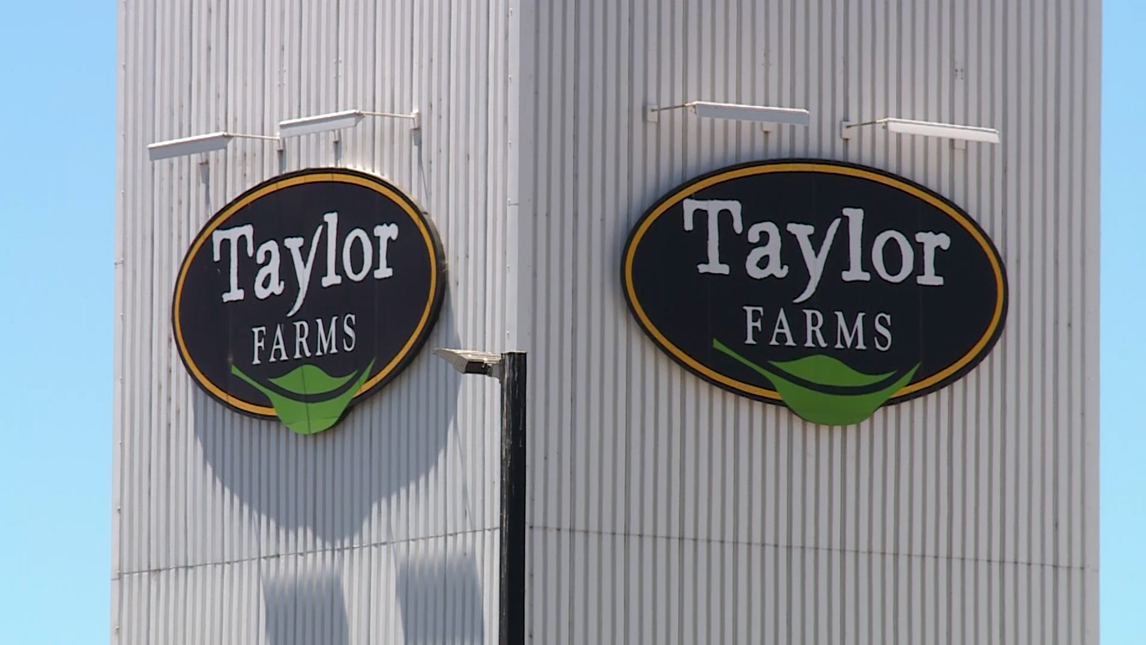 TAYLOR FARMS.jpg