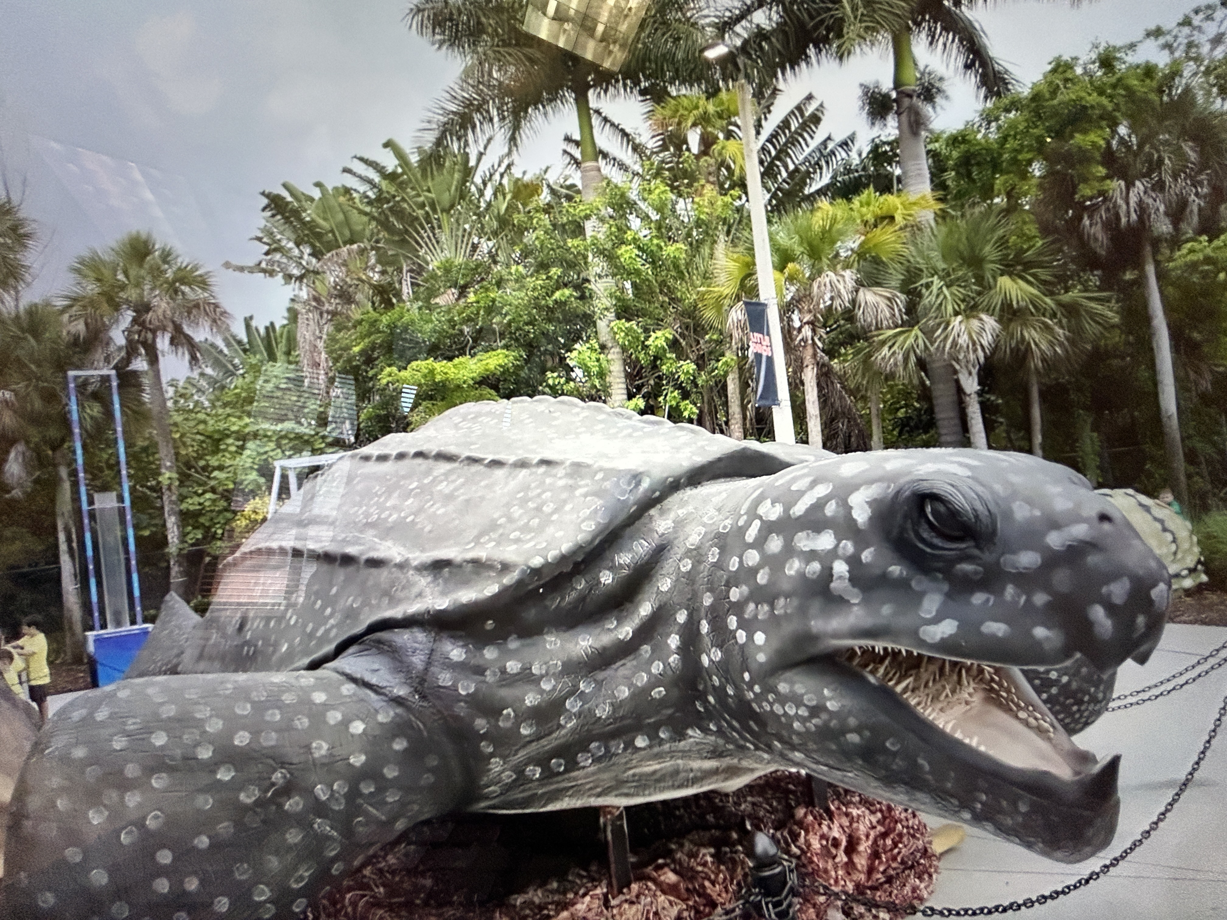 Cox Science Center turtle thumbnail.JPG