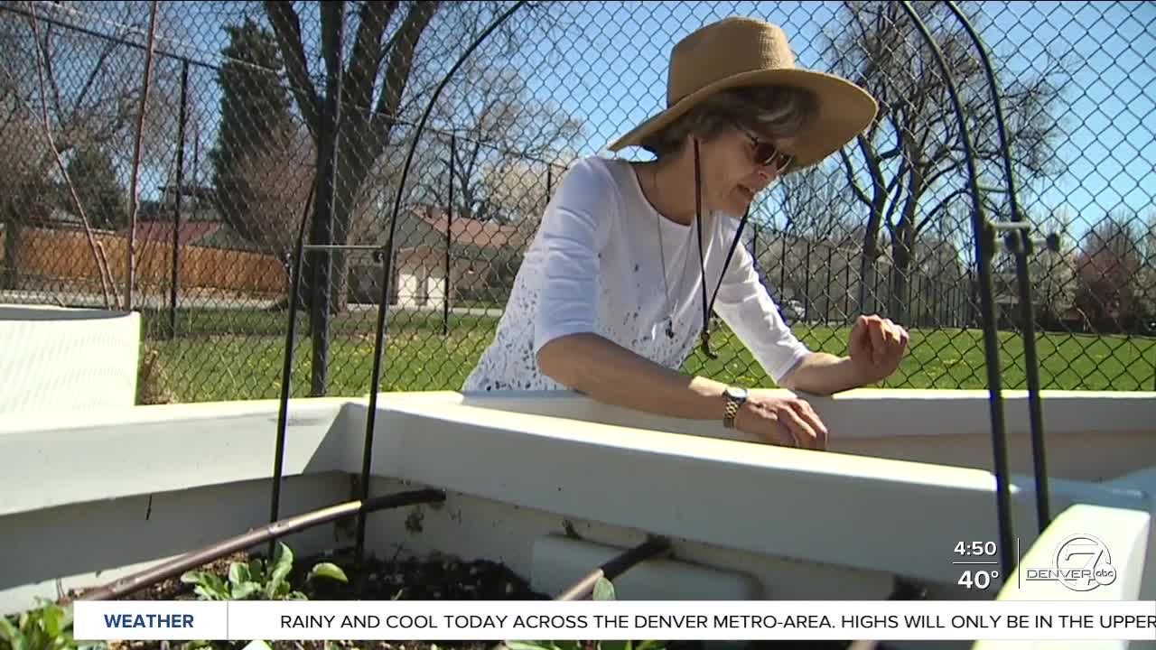 grow local colorado_denver7 everyday hero.jpg