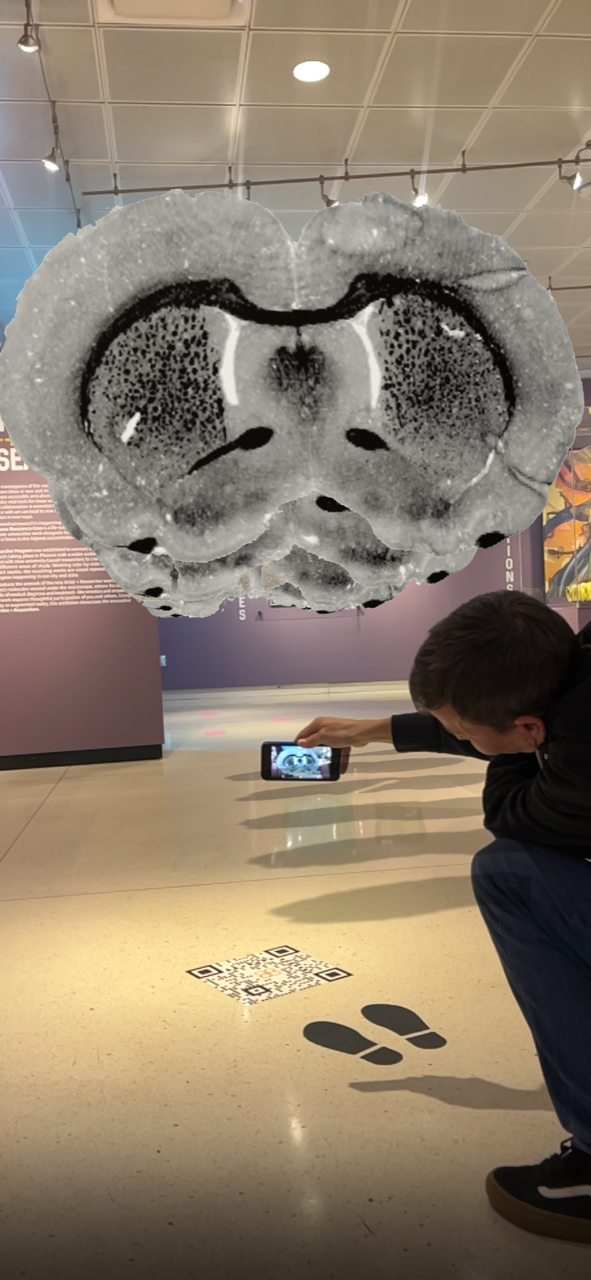 Artist Rembrandt Quiballo; augmented reality brain scan.png