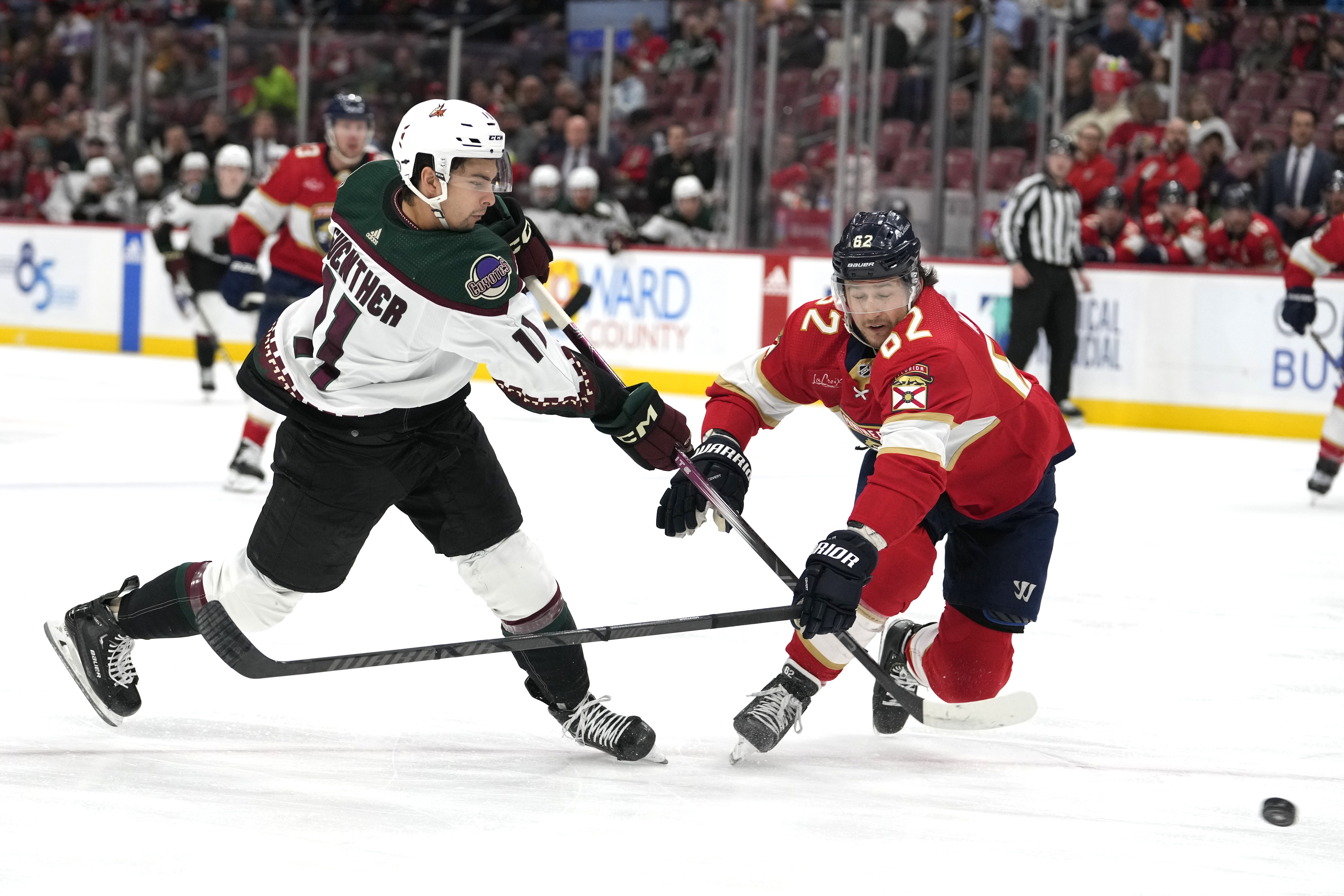 Dylan Guenther
Brandon Montour