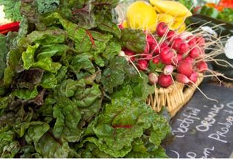 Holland Farmers Market produce.JPG