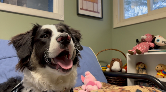 Screenshot 2025-01-30 at 10.37.27 PM.png