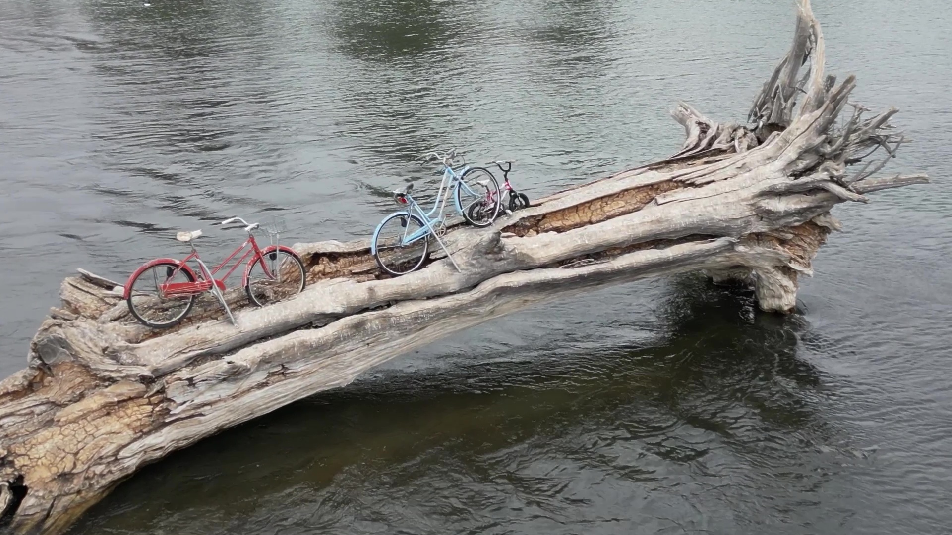 Great Falls Mystery: the log in the river with three bikes