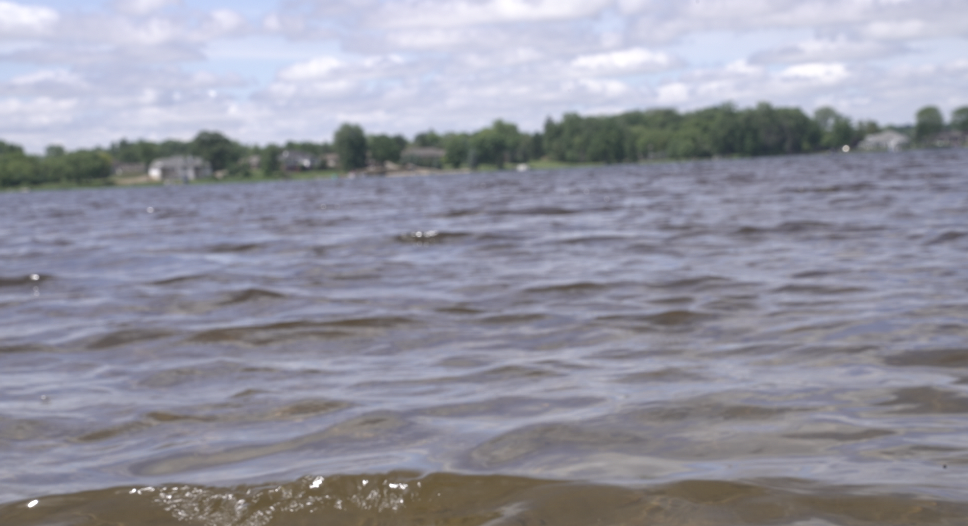 Vandercook Lake