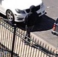 Robbery Suspect